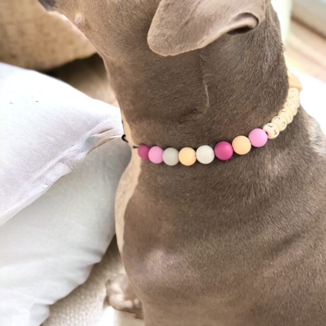 Our Service Dog, Quincy, and The Reason For Our Online Store Petbeadz Boutique: Friendship Necklaces For Your Real Best Friend