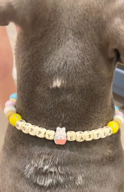 Our Service Dog, Quincy, and The Reason For Our Online Store Petbeadz Boutique: Friendship Necklaces For Your Real Best Friend
