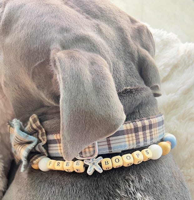 Our Service Dog, Quincy, and The Reason For Our Online Store Petbeadz Boutique: Friendship Necklaces For Your Real Best Friend