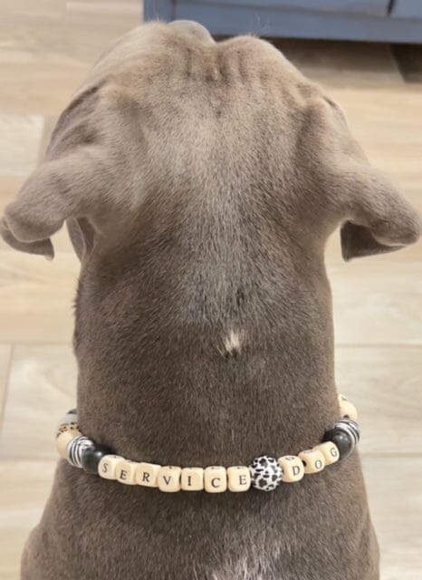 Our Service Dog, Quincy, and The Reason For Our Online Store Petbeadz Boutique: Friendship Necklaces For Your Real Best Friend